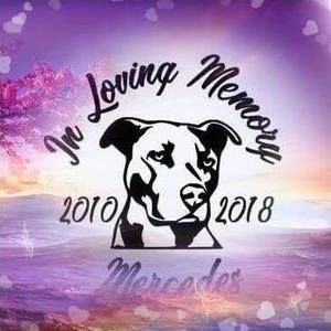 Meet your Posher, Ruby